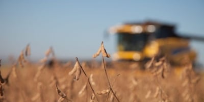 Solução para o endividamento é prioridade para entidades de produtores de grãos