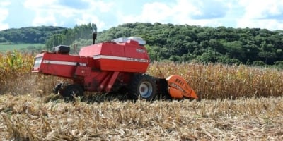 Colheita do milho se encaminha para o final no Rio Grande do Sul