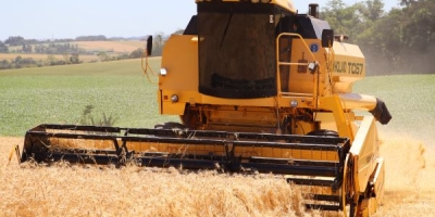 Colheita do trigo avança no Rio Grande do Sul