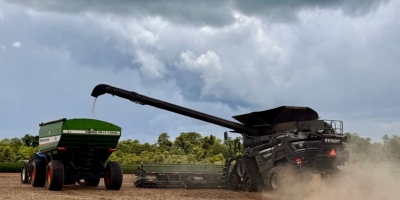 Produtividade da soja do RS deve sofrer cortes após tempo seco e quente, diz Emater