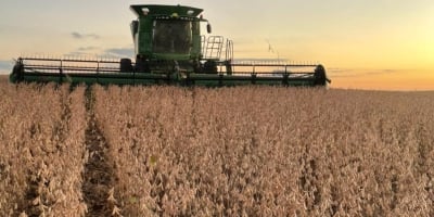 FecoAgro/RS aponta 2025 como um dos anos mais difíceis para a agricultura gaúcha