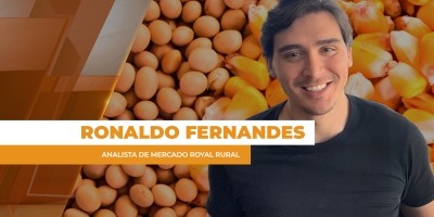 Mercado brasileiro tem semana de força para soja do BR e portos de volta aos R$ 130/sc