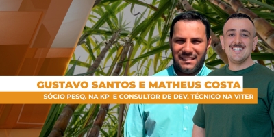 Como o uso de óxidos nas lavouras de cana-de-açúcar podem potencializar a produtividade