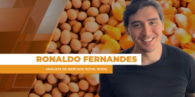 BR pode fechar fevereiro com 9 mi de t de soja embarcadas, mas preços ainda não reagem à força da demanda