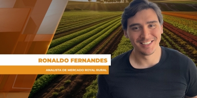 Após semana turbulenta, soja volta aos R$ 132 nos portos, com Chicago e dólar muito voláteis