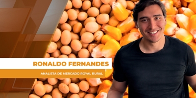 Semana das Commodities com Ronaldo Fernandes