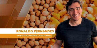Semana foi de tradings da soja pagando acima da paridade de exportação, garantindo boas oportunidades ao produtor do Brasil