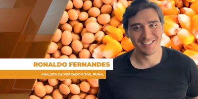 Pressão combinada de Chicago e dólar tira mais de R$ 1,50 por saca na paridade de exportação para soja