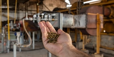 Projeto pioneiro usa gás natural na secagem de café e impulsiona inovação no Espírito Santo