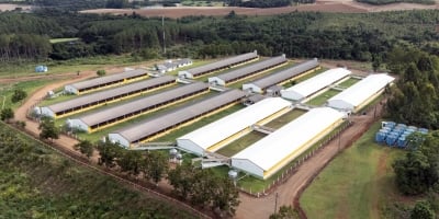 Copercampos investe R$ 45 milhões para dobrar produção de suínos e ampliar rede de integrados