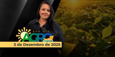Bom dia Agro 02/12/2025 - Clima para a safra 25/26, plantio atrasado e as novas regras do licenciamento ambiental