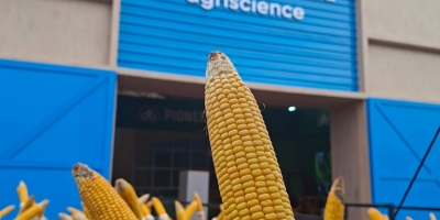 Corteva leva à Showtec Maracaju tecnologias em sementes, defensivos químicos e soluções biológicas para impulsionar a produtividade das lavouras