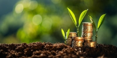 Agronegócio passa por momento de difícil acesso ao crédito e produtor precisa tomar decisões técnicas precisas