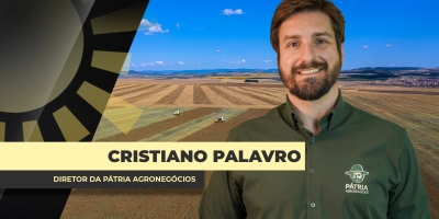 Argentina: Pátria registra problemas pontuais nas lavouras de soja e milho, mas safra 2025/26 chegando com bons resultados