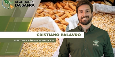 Milho: Safrinha tem quebra de 23% a 24% na média de produtividade, mas mercado ainda não reage ao cenário