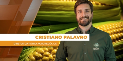 MERCADO DO MILHO - EDIÇÃO 13/02/2026