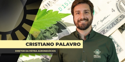 Preços da soja têm espaço para mais baixas no Brasil até que passe o pico da colheita; pressão do dólar é intensa