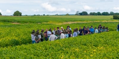 CTECNOS Araguaia e Parecis recebem visitas técnicas em abril