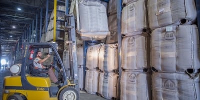 Cooxupé está entre as maiores empresas do Brasil, segundo ranking Forbes Agro100