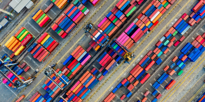 Brasil amplia mercados e impulsiona exportação de ovos férteis para a Nigéria