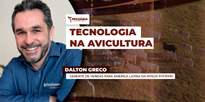 Como sensores e sistemas conectados estão transformando a rotina nos aviários