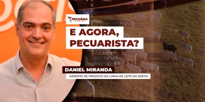 Boi em alerta: mercado confuso, custo virando e o que fazer para não perder dinheiro