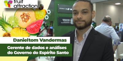Espírito Santo é maior produtor e exportador de gengibre, mamão papaia e pimenta preta