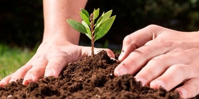 Terrus Regeneração apresenta 1ª plataforma para posicionamento de biossoluções baseada na tipologia de argila