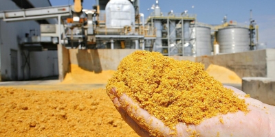 Exportações brasileiras de DDG/DDGS crescem 38,6% em 2026 e China assume liderança entre destinos