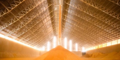 Brasil avança no mercado global de DDG/DDGS e registra 879 mil toneladas exportadas em 2025