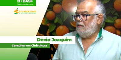 Garantia de produtividade na moderna e tecnificada citricultura do BR depende de boas informações