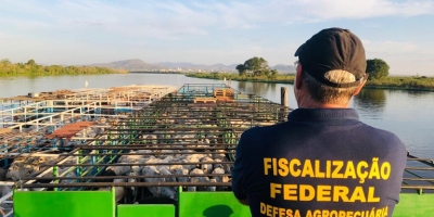 Nova lei amplia adicional de fronteira e reforça atuação da defesa agropecuária nas regiões estratégicas do país