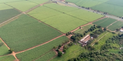 Grupo Santa Clara lança bionematicida com combinação exclusiva de bacilos para combater nematóides em cana-de-açúcar