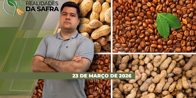 Safra de soja do Tocantins deve crescer mais de 12% e Cooxupé descarta supersafra de café