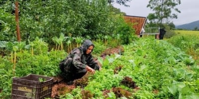 Dia Internacional das Mulheres Rurais: protagonismo feminino transforma a realidade no campo
