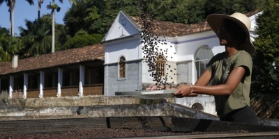 Café fluminense ganha força e movimenta a economia do estado do RJ