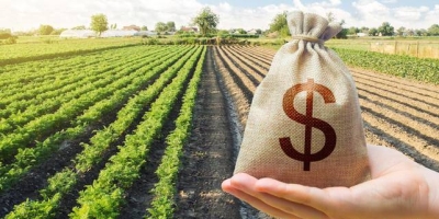 Banco do Brasil prevê renegociar mais de R$ 20 bilhões em dívidas rurais até novembro