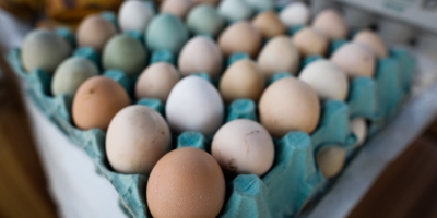 Consumo fitness impulsiona produção de ovos em Minas Gerais