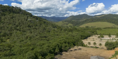 Agricultura ganha 11 milhões de hectares em 41 anos na Mata Atlântica