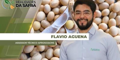 Mato Grosso do Sul colheu 75% da soja e segue com trabalhos atrasos