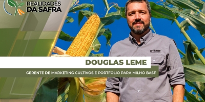 Safra de milho se desenvolve com condições de janela, clima, pragas e doenças diferentes pelo Brasil