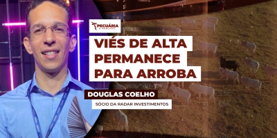 Cenário é de alta para arroba do boi em abril com a busca de novos recordes: atenção se volta para os meses seguintes