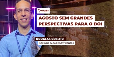 Boi: mês de agosto começa com escalas formadas e sem perspectivas de acordo com EUA