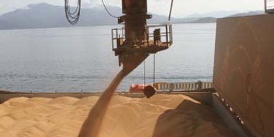Embarques de soja e carnes do Brasil avançam na parcial de maio, aponta Secex