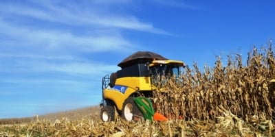 Com chuva e umidade, colheita do milho avança para 18,8% no Brasil, aponta Conab