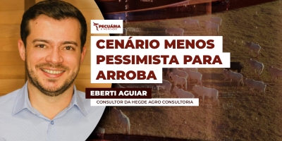 Pessimismo para os preços da arroba entre julho e agosto pode ser revertido com novos cenários