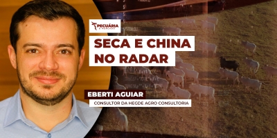 Consultor da Hegde Agro Consultoria avalia cenário de oferta elevada, mercado futuro e perspectivas para o segundo semestre