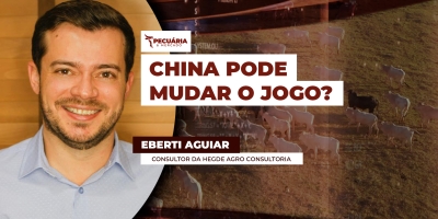 Boi gordo sente pressão no mercado interno enquanto setor monitora