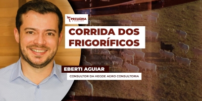 Frigoríficos em SP e MT pagam mais pela arroba do boi  na tentativa de compor as escalas dessa semana