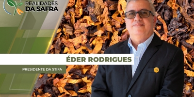Safra 25/26 de tabaco deve ter boa produção no Sul do Brasil